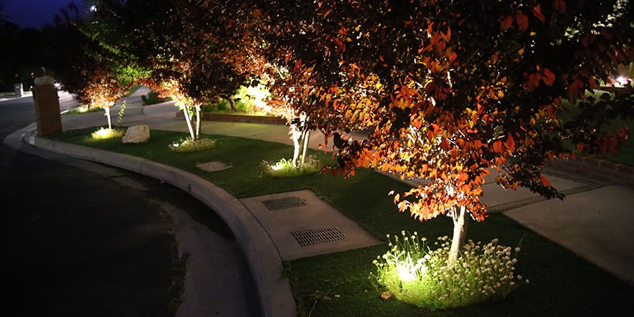 Beverly Hills Landscape Lighting Blog