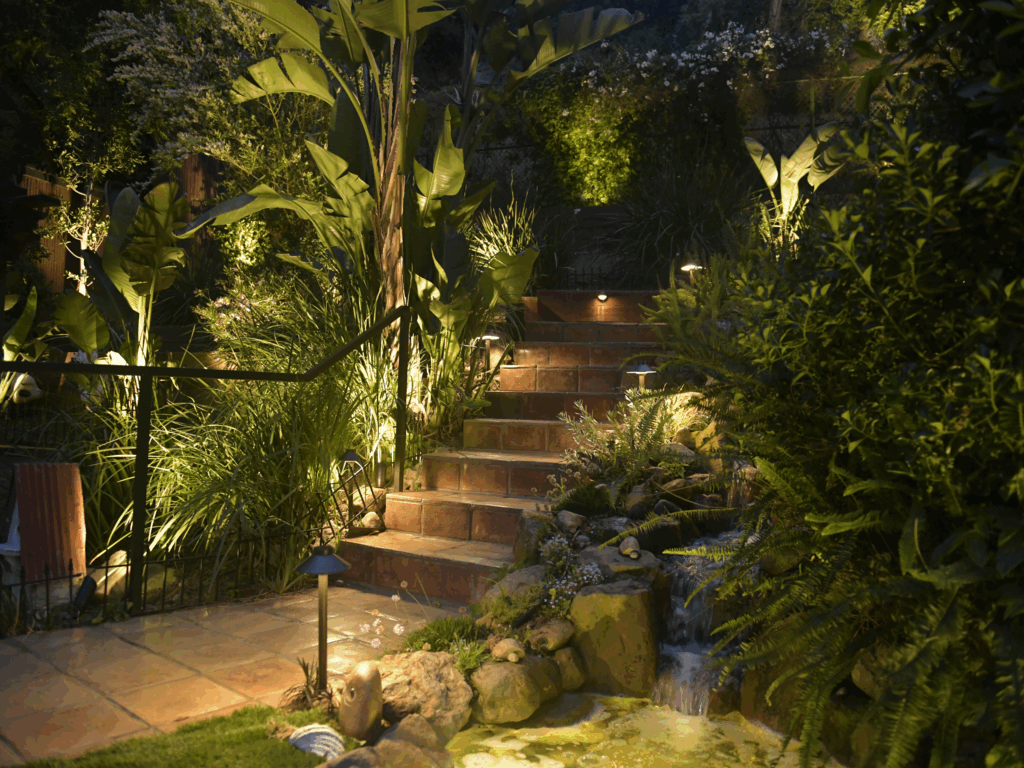 backyard illuminated with low voltage LED landscape lights