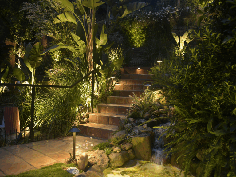 backyard illuminated with low voltage LED landscape lights