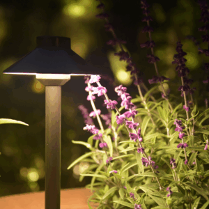 outdoor landscape lighting showing warm and cool color temperatures