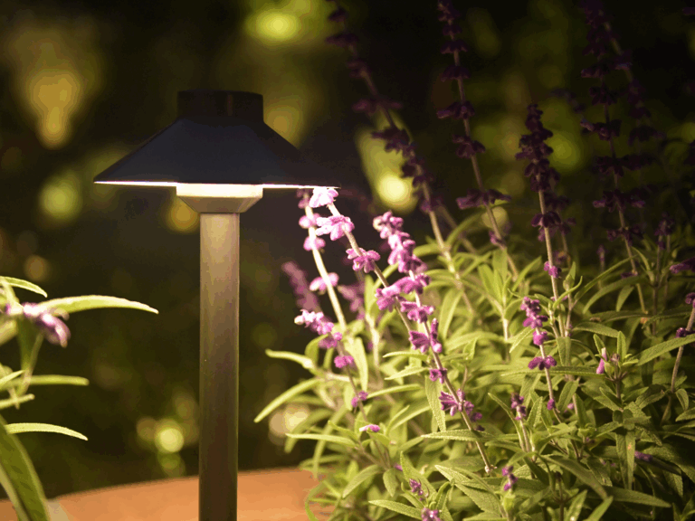 outdoor landscape lighting showing warm and cool color temperatures