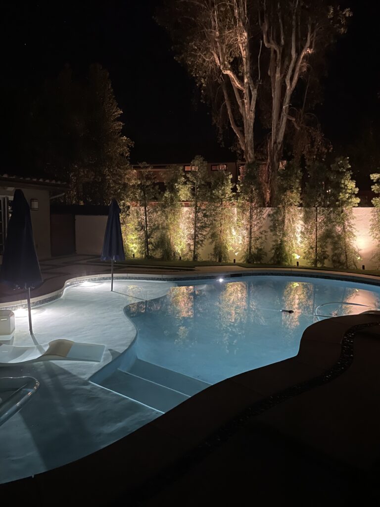 Low Voltage vs 120V Landscape Lighting: Which Is Better?