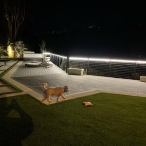 DBEAD E EEC BE CB fullsizerender